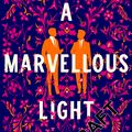 Cover Art for 9781760988937, A Marvellous Light by Freya Marske