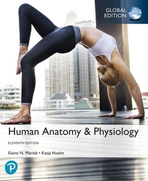 Cover Art for 9781292260853, Human Anatomy & Physiology, Global Edition by Elaine N. Marieb
