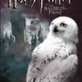 Cover Art for 9783831850785, Harry Potter und der Halbblutprinz Kalenderbuch 2010 by Joanne K. Rowling