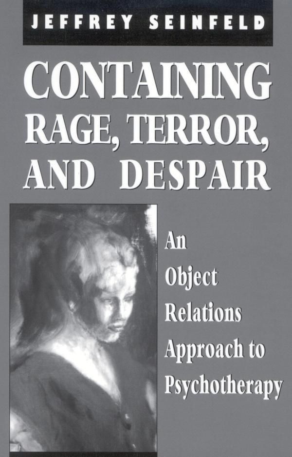 Cover Art for 9781461627975, Containing Rage, Terror and Despair by Jeffrey Seinfeld