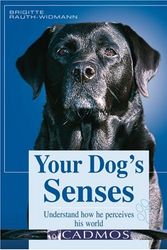 Cover Art for 9783861279235, Your Dog's Senses by Dr. Brigitte Rauth-Wildman