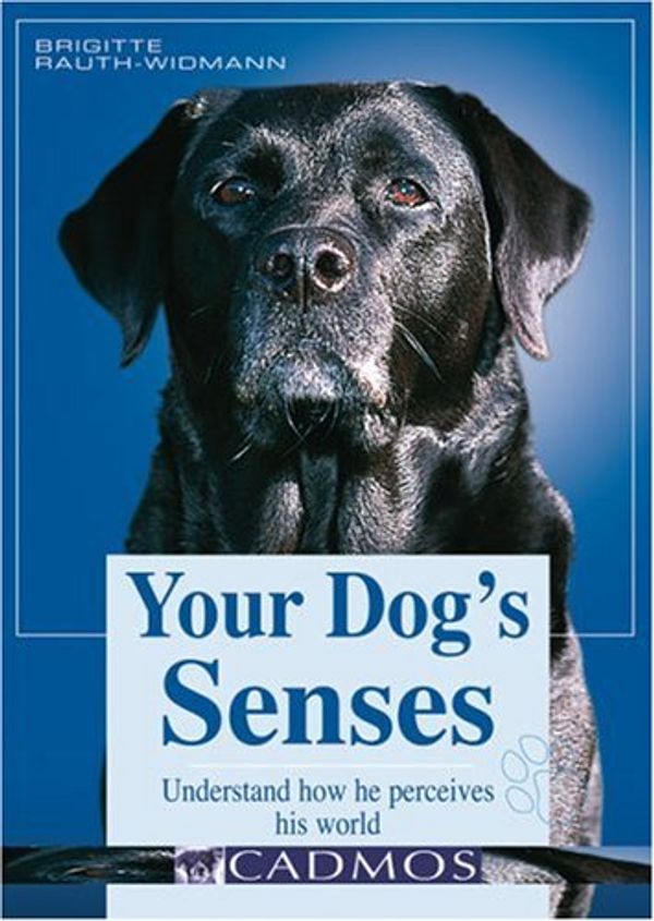 Cover Art for 9783861279235, Your Dog's Senses by Dr. Brigitte Rauth-Wildman