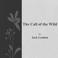 Cover Art for 1230000366519, The Call of the Wild by Jack London