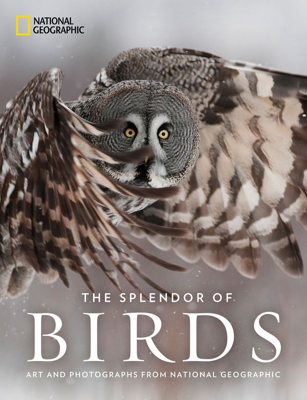 Cover Art for 9781426219672, The Splendor of Birds: Art and Photographs from National Geographic by National Geographic