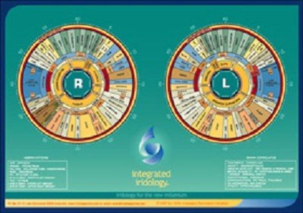 Integrated Iridology Desk Chart: Price Comparison On Booko