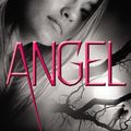 Cover Art for 9780316122191, Angel by James Patterson　著