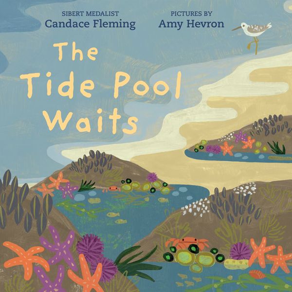 Cover Art for 9780823449156, The Tide Pool Waits by Candace Fleming