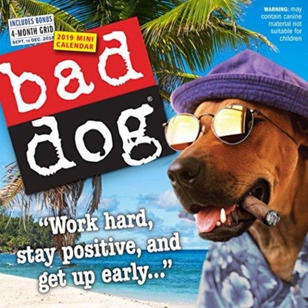 Cover Art for 9781523504978, 2019 Bad Dog Mini Wall Calendar by Workman Publishing
