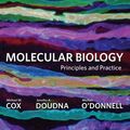 Cover Art for 8580001448329, Molecular Biology: Principles and Practice by Michael M. Cox, O'Donnell, Michael, Jennifer Doudna