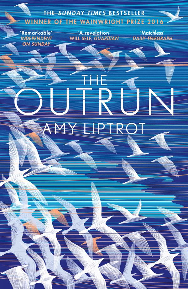 Cover Art for 9781782115489, The Outrun by Amy Liptrot