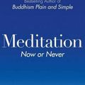 Cover Art for 9780061143298, Meditation Now or Never by Steve Hagen