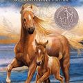 Cover Art for B009K5CSC4, Misty of Chincoteague by Marguerite Henry