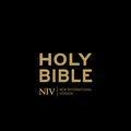 Cover Art for 9781444701593, NIV Holy Bible - Anglicised Black Gift and Award by New International Version