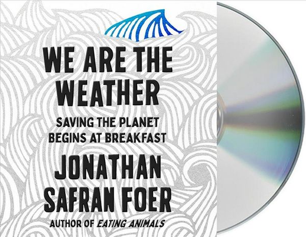 Cover Art for 9781250316905, We Are the Weather by Jonathan Safran Foer