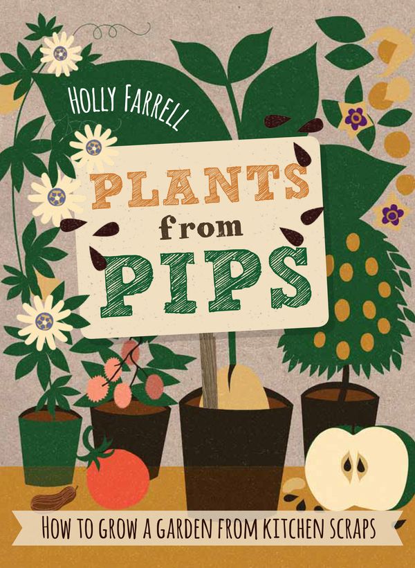 Cover Art for 9781760113568, Plants from PipsHow to Grow a Garden from Kitchen Scraps by Holly Farrell