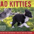 Cover Art for 9781549208737, Bad Kitties 2020 Calendar by Willow Creek Press