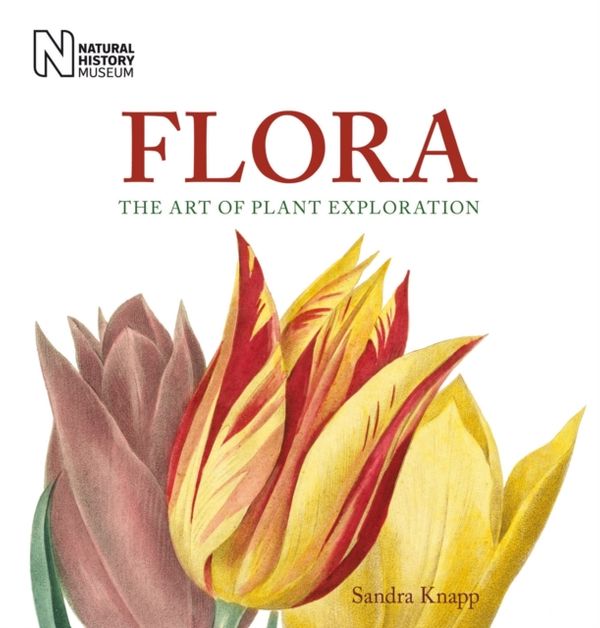 Cover Art for 9780565093341, Flora by Sandra Knapp
