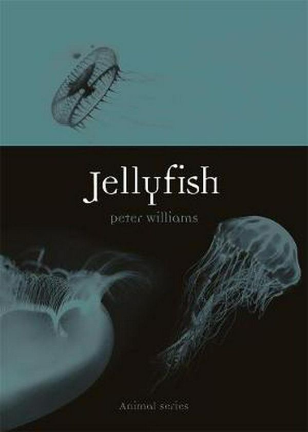 Cover Art for 9781789142150, Jellyfish (Animal) by Peter Williams