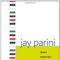 Cover Art for 9780300124231, Why Poetry Matters by Jay Parini