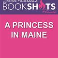 Cover Art for 9780316469937, A Princess in Maine by Jen McLaughlin