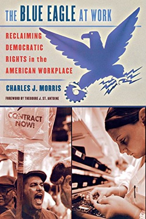 Cover Art for 9780801443176, The Blue Eagle at Work by Charles J. Morris