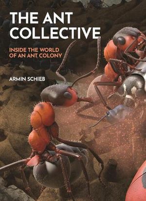 Cover Art for 9780691255927, The Ant Collective: Inside the World of an Ant Colony by Armin Schieb