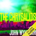 Cover Art for B01N915IOZ, The Chrysalids by John Wyndham