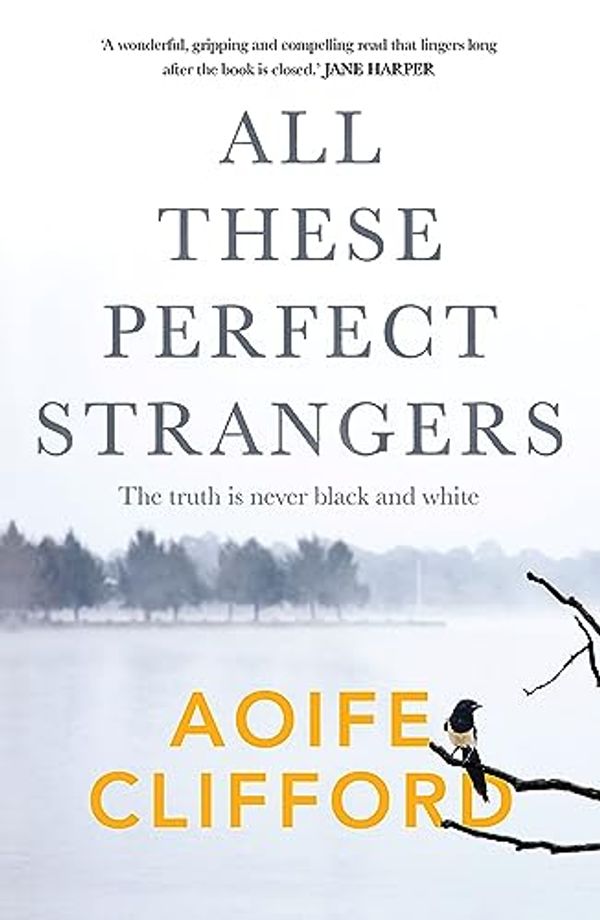 Cover Art for B0CHF78XZ4, All These Perfect Strangers by Aoife Clifford