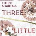 Cover Art for 9781432882952, Three Little Truths by Eithne Shortall