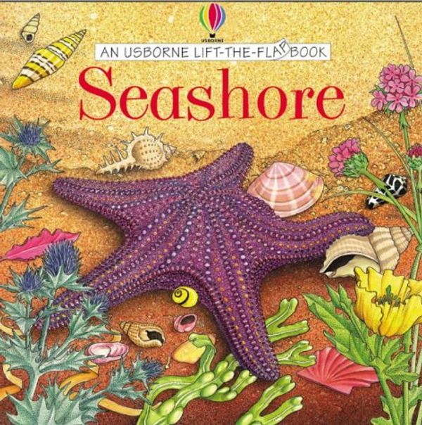 Cover Art for 9780746042014, Seashore (Usborne Lift the Flap Learner) by Judy Tatchell