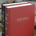 Cover Art for 9780310641773, NRSV Ministry/pew Black HC Bible Case of 24 ZCS by Zondervan Publishing
