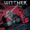 Cover Art for 9781506711133, The Witcher Volume 4: Of Flesh and Flame by Aleksandra Motyka