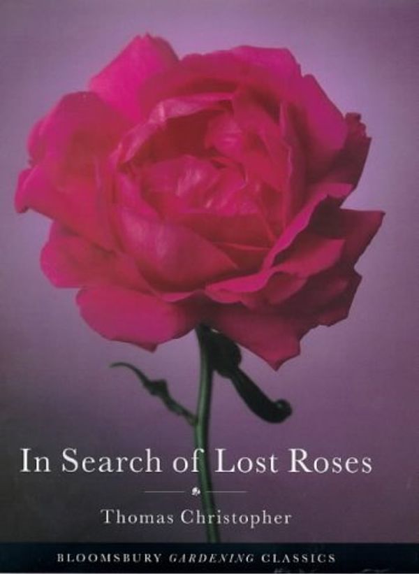 Cover Art for 9780747530091, In Search of Lost Roses by Christopher, Thomas