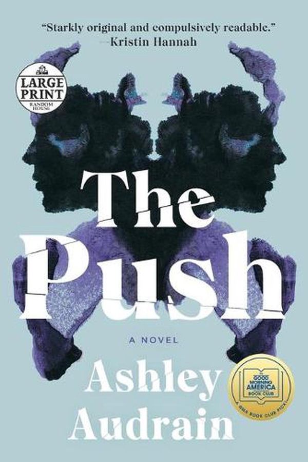 Cover Art for 9780593295571, The Push by Ashley Audrain