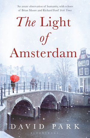 Cover Art for 9781408824924, The Light of Amsterdam by David Park