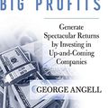 Cover Art for 9780470296653, Small Stocks for Big Profits by George Angell