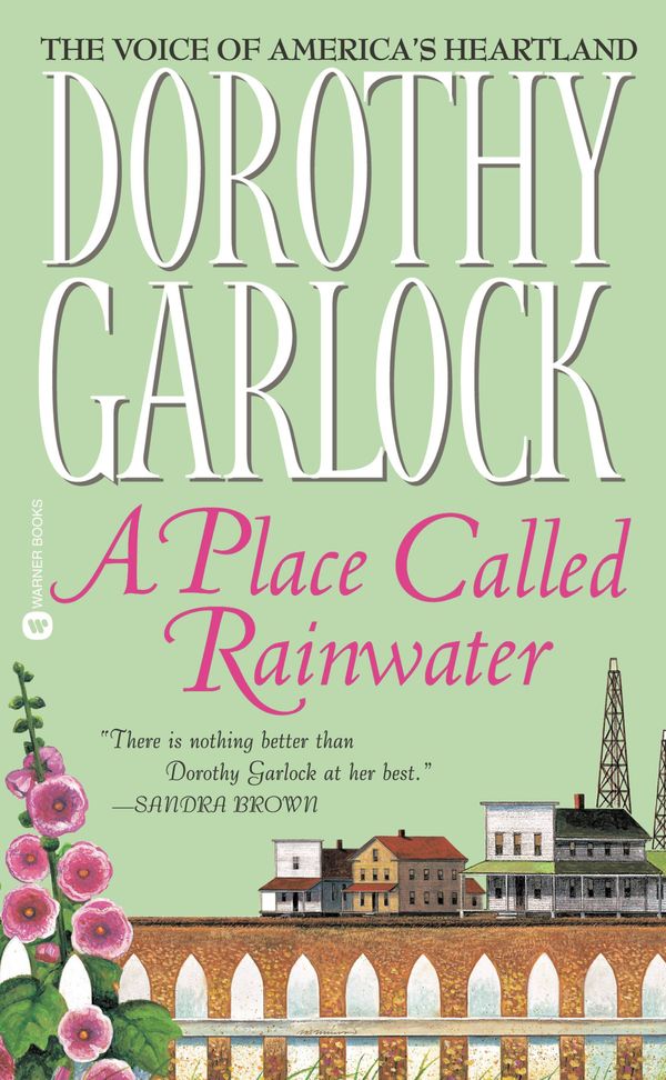 Cover Art for 9780446548939, A Place Called Rainwater by Dorothy Garlock