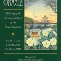 Cover Art for 9780312369774, The Druid Plant Oracle: Working with the Magical Flora of the Druid Tradition [With 36 Cards] by Carr-Gomm, Philip, Carr-Gomm, Stephanie