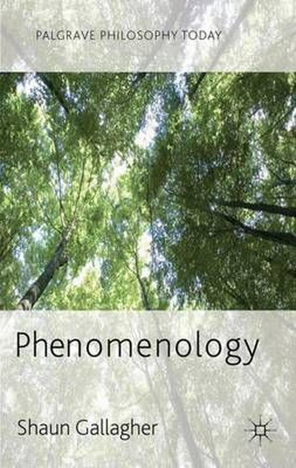 Cover Art for 9780230272491, Phenomenology by Shaun Gallagher