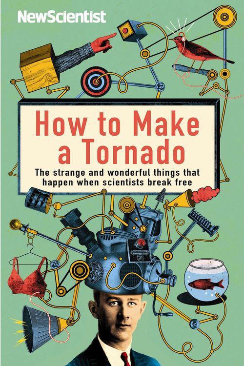 Cover Art for 9781846682872, How to Make a Tornado by New Scientist