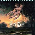 Cover Art for 9781560549260, Turtle Moon by Alice Hoffman