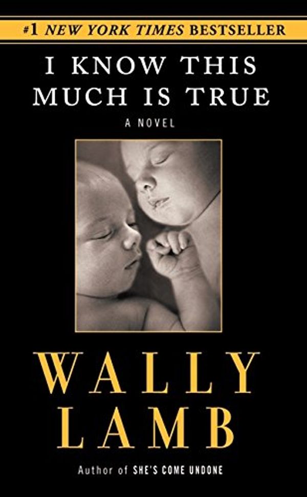 Cover Art for 9780061097645, I Know This Much Is True by Wally Lamb