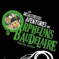 Cover Art for 9782092524893, Les Desastreuses Aventures DES Orphelins Baudelaire: Vol. 9/LA Fete Feroce by Lemony Snicket