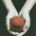Cover Art for 9781594133299, Twilight by Stephenie Meyer