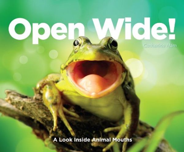 Cover Art for 9780983201434, Open Wide! by Catherine Ham
