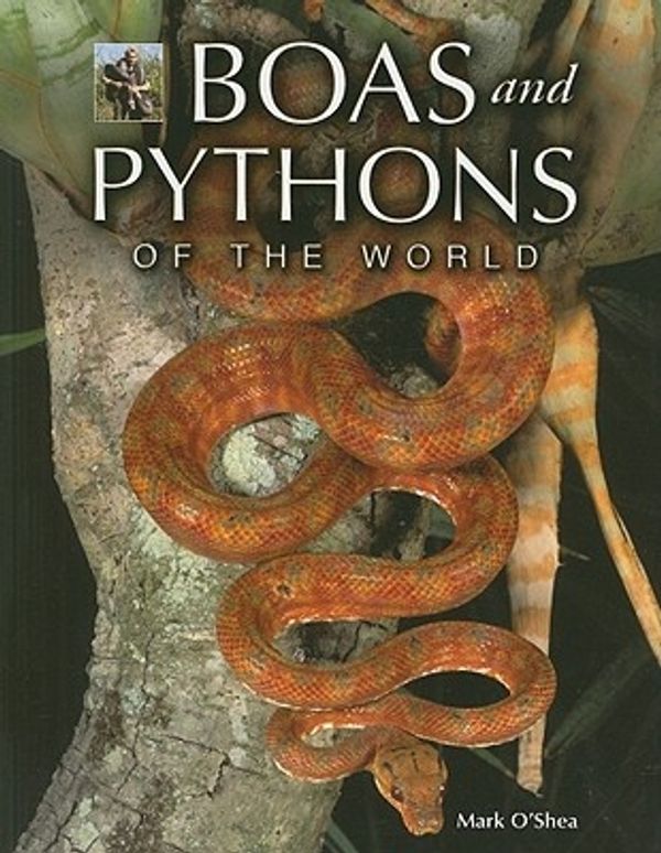 Cover Art for 9780691150154, Boas and Pythons of the World by Mark O'Shea