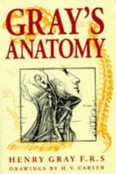Cover Art for 9780752524092, Grays Anatomy by Henry Gray
