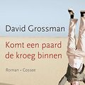 Cover Art for 9789059365711, Komt een paard de kroeg binnen: roman by David Grossman