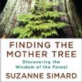 Cover Art for 9780735237773, Finding the Mother Tree by Suzanne Simard