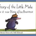 Cover Art for 9781856021012, The Story of the Little Mole Who Knew it Was None of His Business by Werner Holzwarth